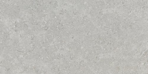 Керамогранит Argenta 51067 Etienne Greige RC 30x60 серый матовый под камень в стиле лофт