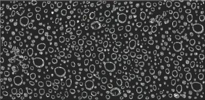 Декоративная плитка Dualgres Descanso Flow 30х60 черная глазурованная глянцевая с рисунком