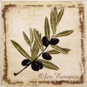 Декор Kerama Marazzi A1912\1221H Прованс оливки 9.9x9.9 бежевый матовый с изображением