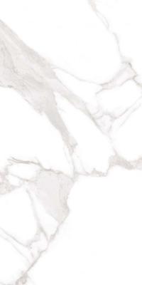 Керамогранит Belleza Marble MFV30F31210G Veneto White F P 60X120 R Full Lappato 1 белый лаппатированный под мрамор