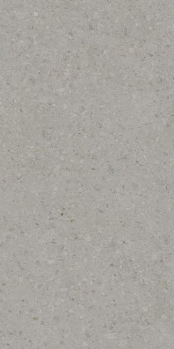 Керамогранит Kerama Marazzi DD591400R Чеппо ди Гре 119.5x238.5 серый матовый под камень