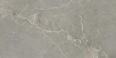 Керамогранит Azteca Pav. Dubai taupe 60x120 серый натуральный под камень
