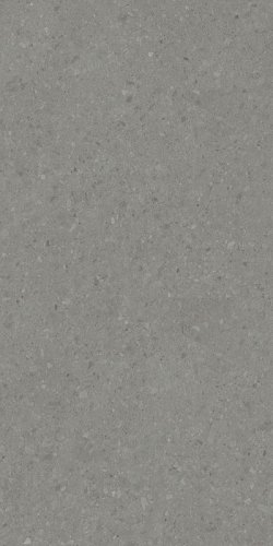 Керамогранит Kerama Marazzi DD591500R Чеппо ди Гре 119.5x238.5 серый матовый под камень