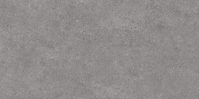 Керамогранит Kerama Marazzi DL500900R Фондамента  серый глазурованный матовый 