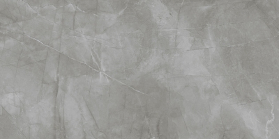 Керамогранит Neodom N20469 London Passion Grafito Soft 60x120 серый матовый под цемент / бетон