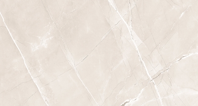 Керамогранит A-Ceramica УТ000033545 Armani Bianco Silk 60×120 бежевый сатинированный под камень