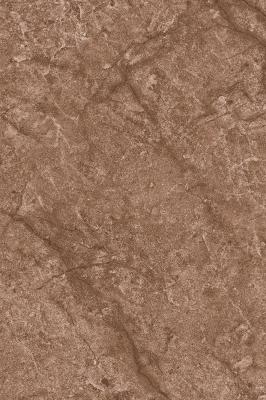 Настенная плитка Axima 21243 Альпы 200x300 коричневый глянцевый под мрамор низ
