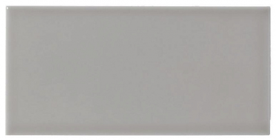 Настенная плитка Adex ADST1027 Studio Liso Graystone 9,8x19,8 серая глянцевая моноколор