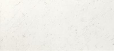 Настенная плитка Fap Ceramiche fPQD Roma Diamond Carrara Brillante 50x120 белая матовая под камень