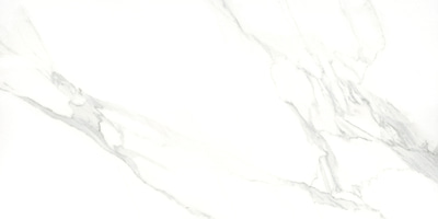 Керамогранит Eurotile Ceramica 717 ANI1WT Amina Calacatta 120x60 белый полированный под камень