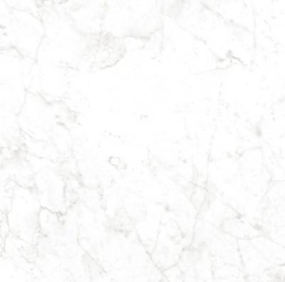 Керамогранит NT CERAMIC CR6NTT9901M Carrara Bianco NTT9901 60x60 белый матовый под камень