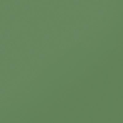 Керамогранит Керамика Будущего Моноколор 60x60 зеленый матовый моноколор