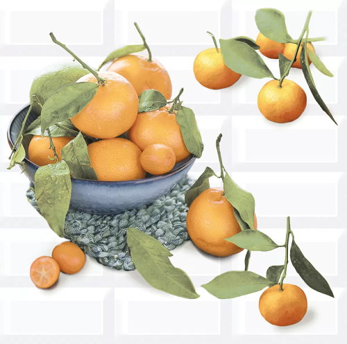 Панно Azori 583012024 VOGUE Citrus 40.2x40.5 белое глянцевое кухонная тематика (компл. из 2 шт)