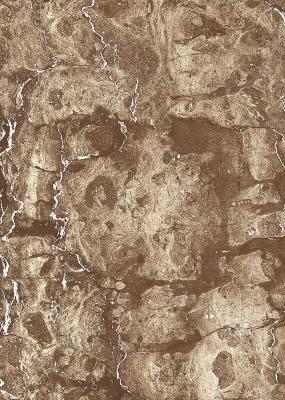 Настенная плитка Axima 20543 Изабель 250x350 коричневый глянцевый под мрамор низ