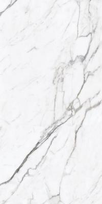 Керамогранит Varmora  SATHVARIYO CLASSIC 60x120, 4 лица (принта) белый глазурованный матовый под камень