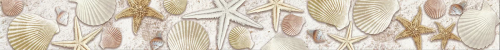 Бордюр Alma Ceramica BWA60ALD404 Ailand 6x60 бежевый глянцевый ракушки