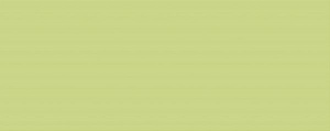 Настенная плитка Kerlife Splendida Verde 50.5x20.1 зеленая глянцевая