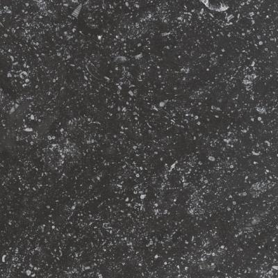 Керамогранит Equipe 23569 Coralstone 20x20 черный глазурованный матовый под камень