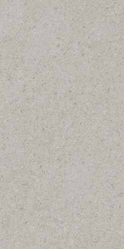 Керамогранит Kerama Marazzi DD591200R Чеппо ди Гре 119.5x238.5 серый матовый под камень