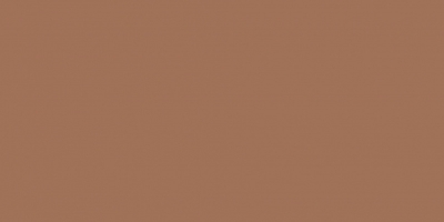 Керамогранит Baldocer УТ000033755 Montmartre Terre Rect 60×120 коричневый сатинированный моноколор