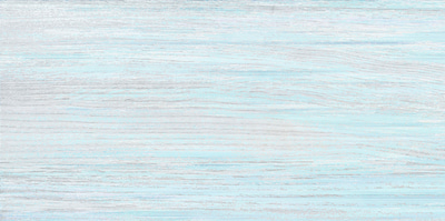 Настенная плитка ALMA Ceramica TWU09NRT606 North 50x24.9 голубая глянцевая под дерево