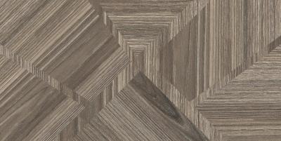 Настенная плитка New Trend WT9TRE08 Essense 50x24.9 коричневая матовая геометрия / под дерево