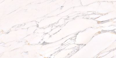 Керамогранит Eurotile Ceramica 516 Calacatta Gold 240x120 белый полированный под камень