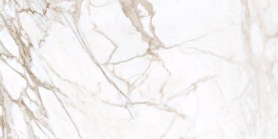 1001/LR/300x600x10 Marble Trend Calacatta 