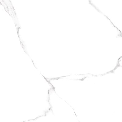 Керамогранит ALMA Ceramica GFU04CRR00R Carrara / Vivienne 60x60 белый глазурованный матовый под камень
