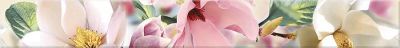 Бордюр Azori 584541002 Boho Magnolia 7.5x63 розовый глянцевый флористика