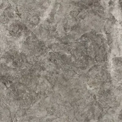 Керамогранит Velsaa RP-185563 Rudra 8001 Natural Glossy 60x60 серый полированный под камень / мрамор
