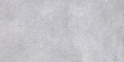 Керамогранит Primavera NR211 Nemo Light grey 60х120 светло-серый матовый под бетон