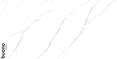 Керамогранит Buono Ceramica M4401P Marble Carrara Livia Glossy 60x120 белый полированный под мрамор