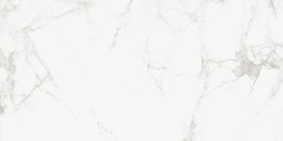 Керамогранит Absolut Gres AB 1112G Carrara Classic 60x120 белый полированный под камень