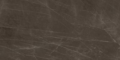 Керамогранит Arch Skin SGF.MM.PG.LUC Marble Grey 150x300 коричневый полированный под камень