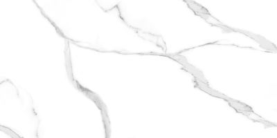 Керамогранит Artcer 889 Marble Carrara 60x120 белый полированный под мрамор