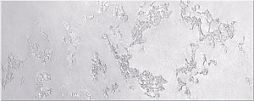 Настенная плитка Azori 503241101 Sfumato Grey 20.1x50.5 серая глазурованная матовая 