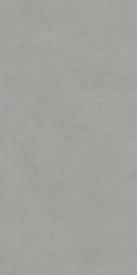 Керамогранит Kerama Marazzi DD590900R Про Чементо обрезной 119,5x238,5 серый матовый под бетон / штукатурку