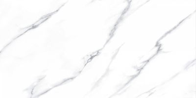 Керамогранит Fanal 918762 Carrara Lap 60x120 белый лаппатированный под мрамор