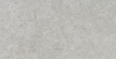 Керамогранит Argenta 60521 Etienne Greige RC 30x60 серый матовый под камень