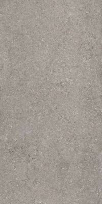 Керамогранит Italon 610010002728 Discover Grey Ret / Дискавер Грэй Рет 60x120 серый  матовый под бетон