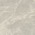 Керамогранит Primavera NR102 Mizar Light grey 60x60 серый матовый под мрамор