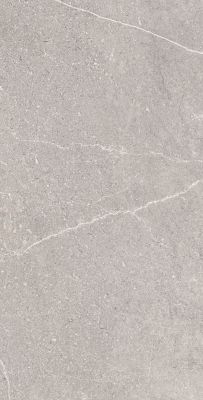 Керамогранит Arcadia Ceramica RG6001-A Equistone Gris 60x120 Rg серый матовый / рельефный под бетон