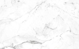 Плитка базовая Gres de Aragon 39441 Marble Smooth Carrara Blanco 60x120 белая матовая под камень
