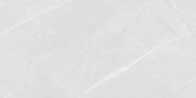 Керамогранит Absolut Gres AB 1166G Armani Bianco 60x120 белый / серый полированный под камень