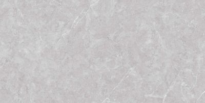 Керамогранит Neodom N20436 Stone&More Tokyo Grey Matt 60x120 серый матовый под камень