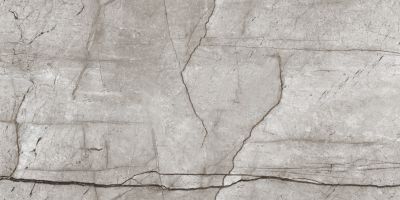 Керамогранит Laparet х9999282584 Obsidian Moss Gray 120x60 серый полированный под камень