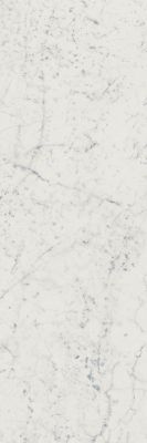 Керамогранит Italon 600010001978 Шарм Экстра Каррара окрашенный в массе / Charme Extra Carrara 25X75