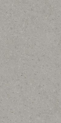 Керамогранит Kerama Marazzi DD591400R Чеппо ди Гре 119.5x238.5 серый матовый под камень