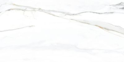 Керамогранит TAU Ceramica 06461-0004 Emporio Calacatta Pulido 60x120 белый полированный под мрамор